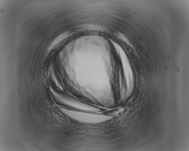 X0000085020775200703261220
