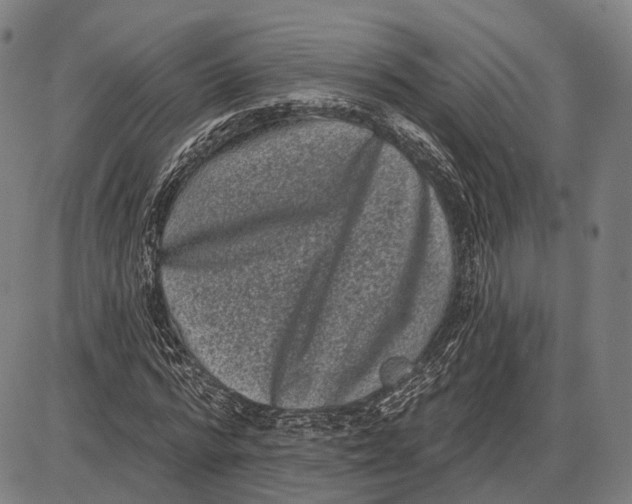 X0000085020776200703261220