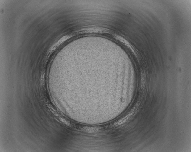 X0000085020778200703261219