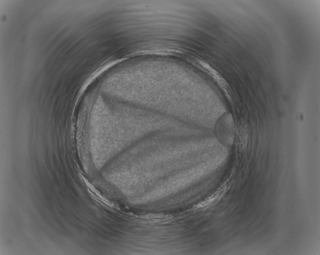 X0000085020779200703261219