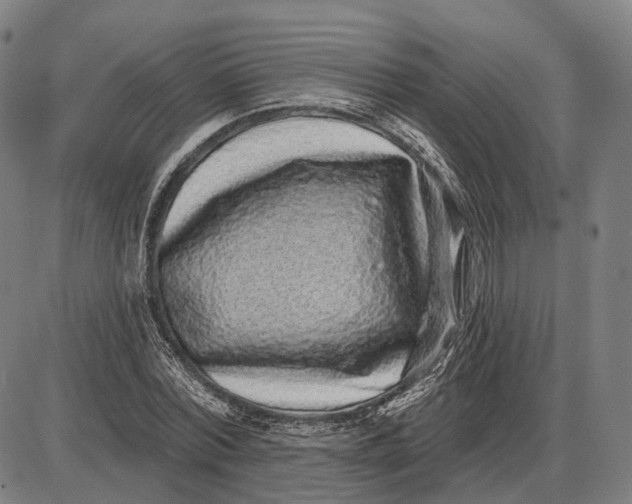 X0000085020780200703261219