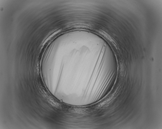 X0000085020782200703261219