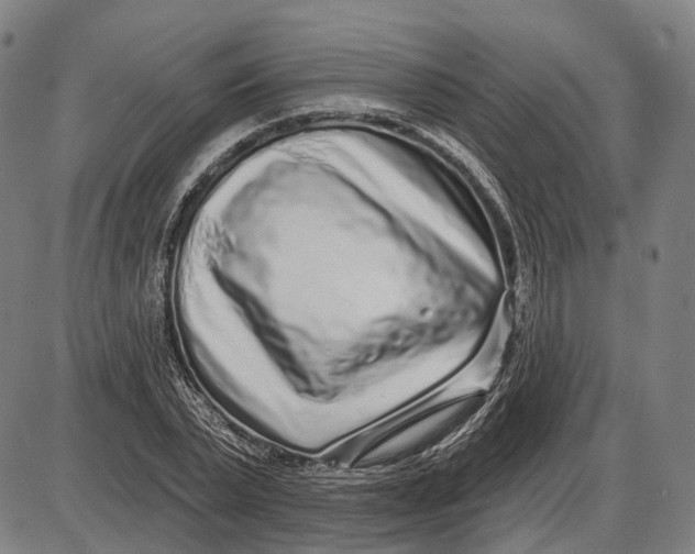 X0000085020783200703261219