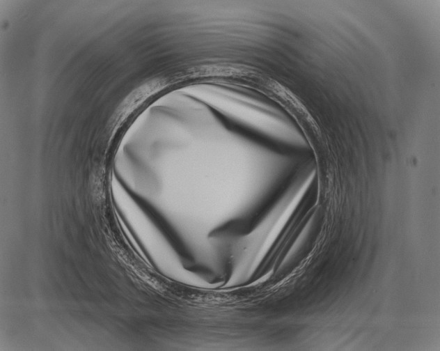 X0000085020786200703261219