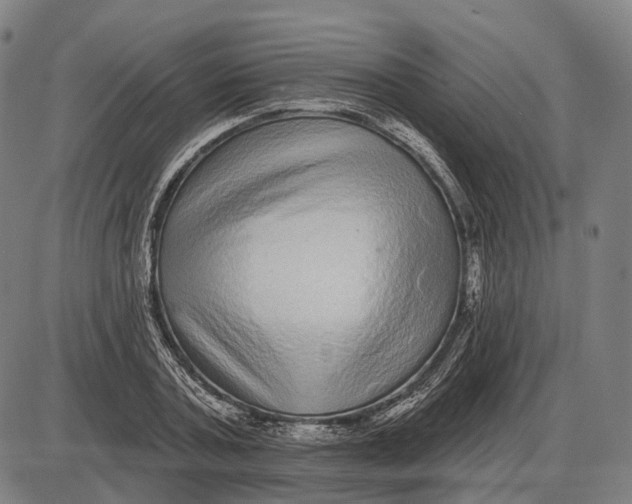 X0000085020787200703261219