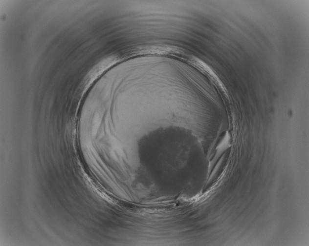 X0000085020802200703261219