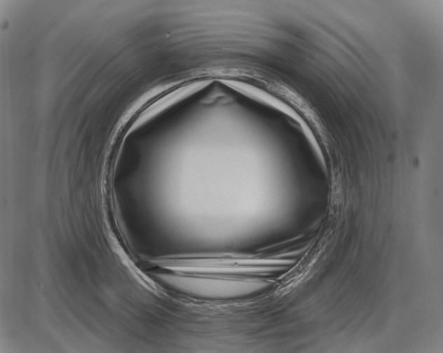 X0000085020803200703261219