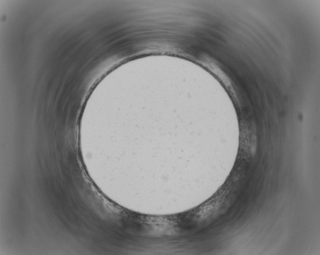 X0000085020807200703261219