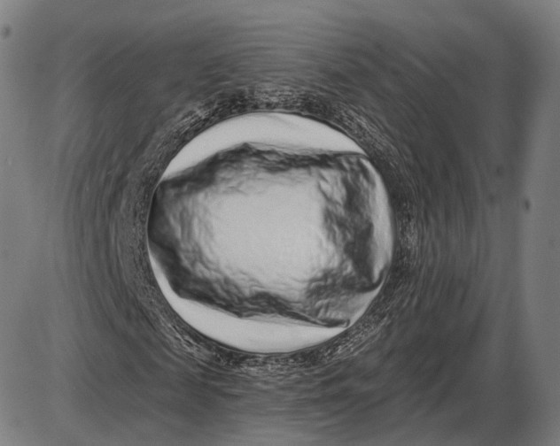 X0000085020817200703261218