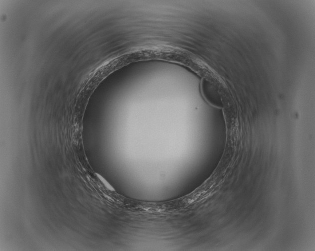 X0000085020822200703261218