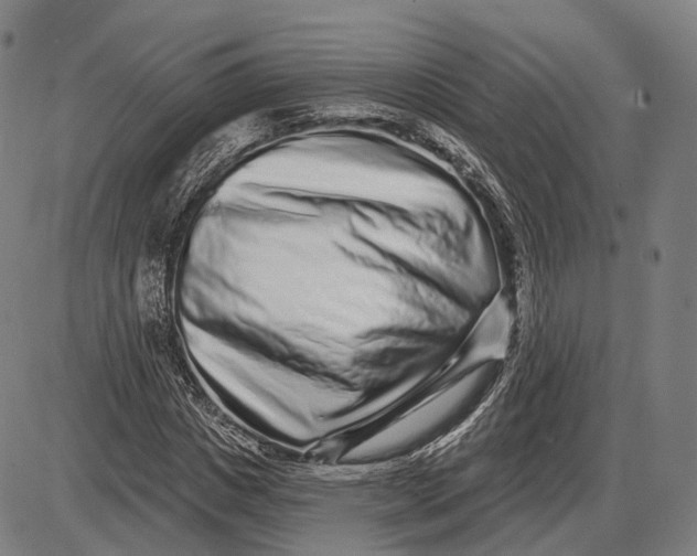 X0000085020825200703261218