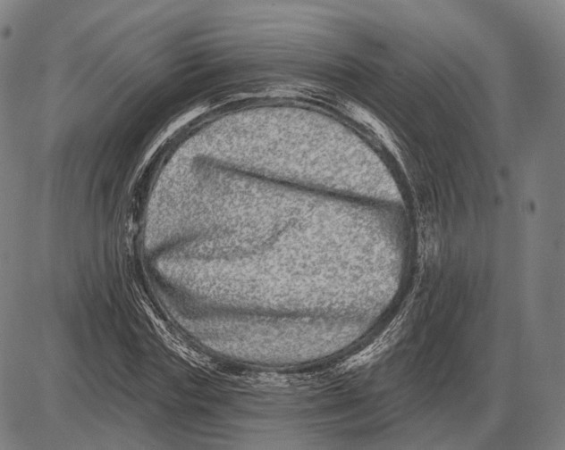 X0000085020827200703261218