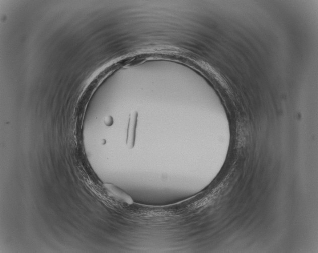 X0000085020830200703261218