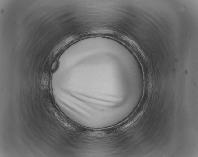 X0000085020833200703261218