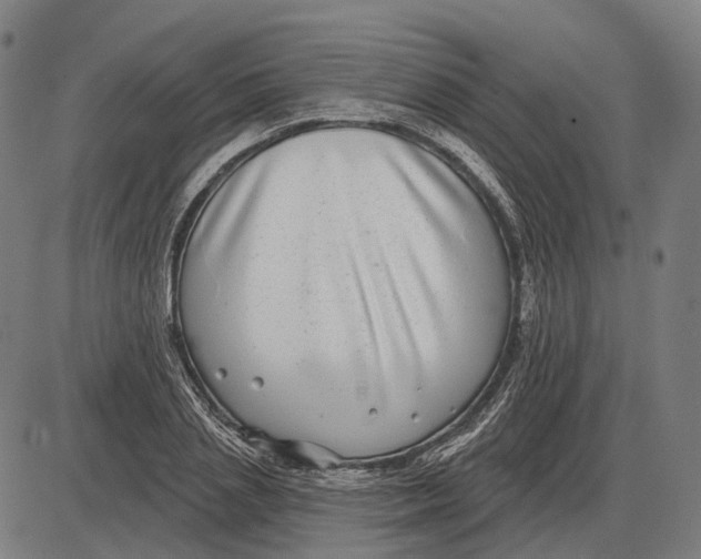 X0000085020837200703261218