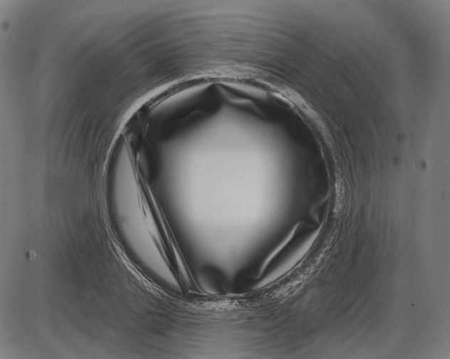 X0000085020838200703261218