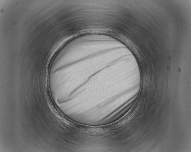 X0000085020844200703261218