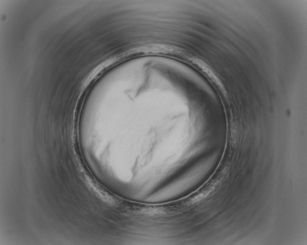 X0000085020845200703261219