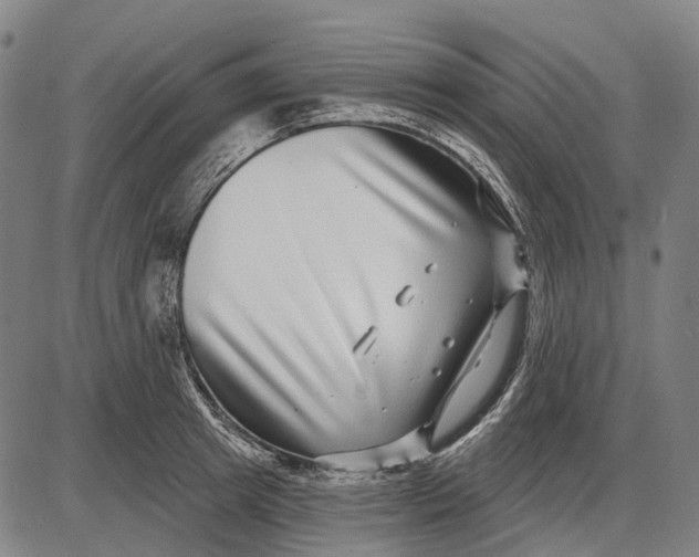 X0000085020849200703261219