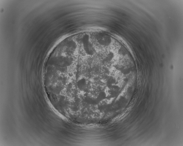 X0000085020851200703261219