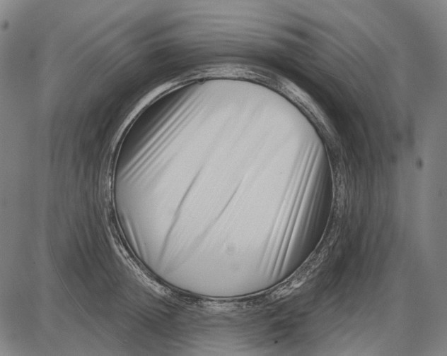X0000085020852200703261219