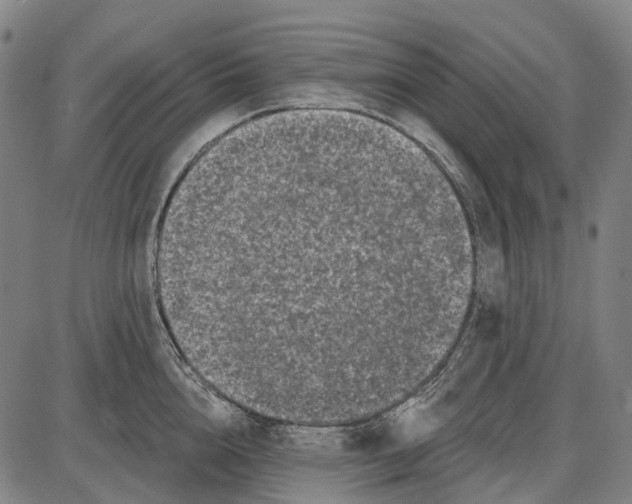 X0000085020856200703261219