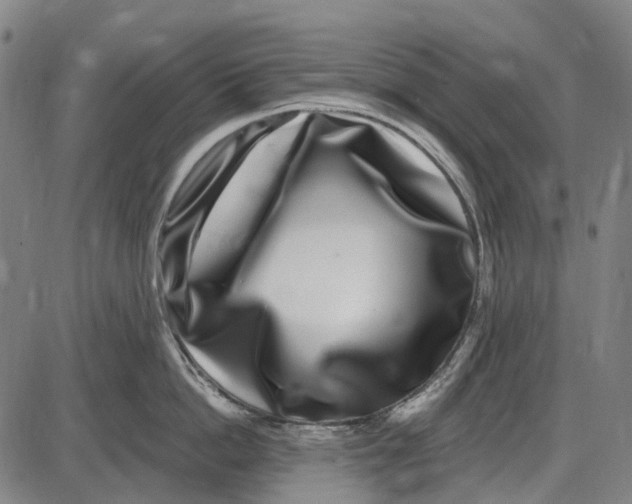 X0000085020862200703261219
