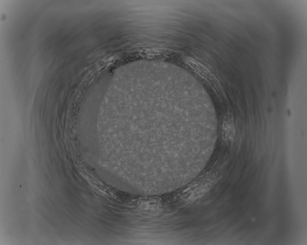 X0000085020865200703261218