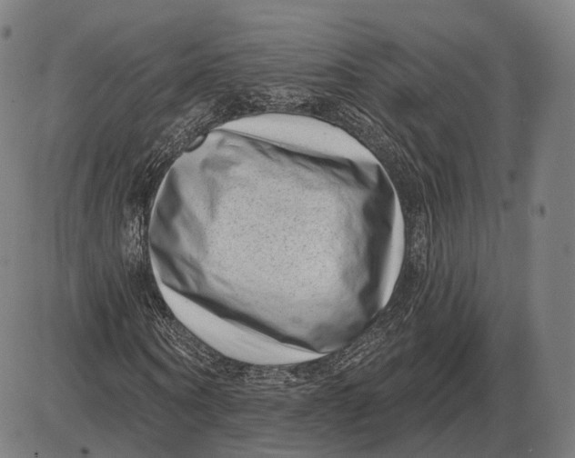 X0000085020866200703261218