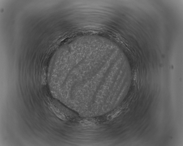 X0000085020868200703261218