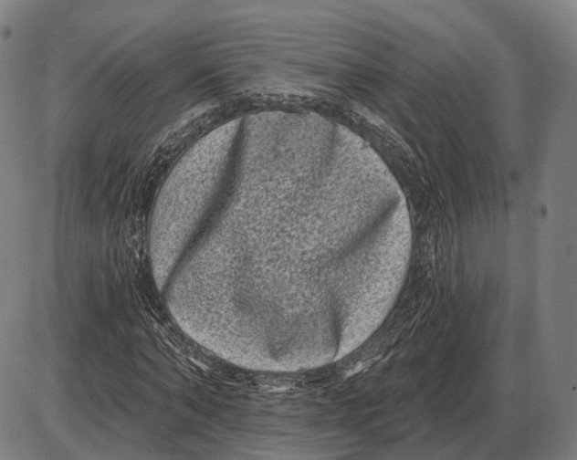 X0000085020870200703261218