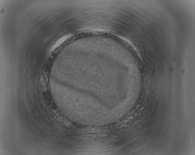 X0000085020871200703261218