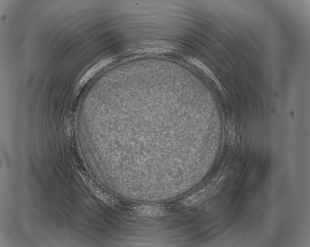 X0000085020874200703261218