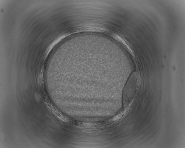 X0000085020875200703261218