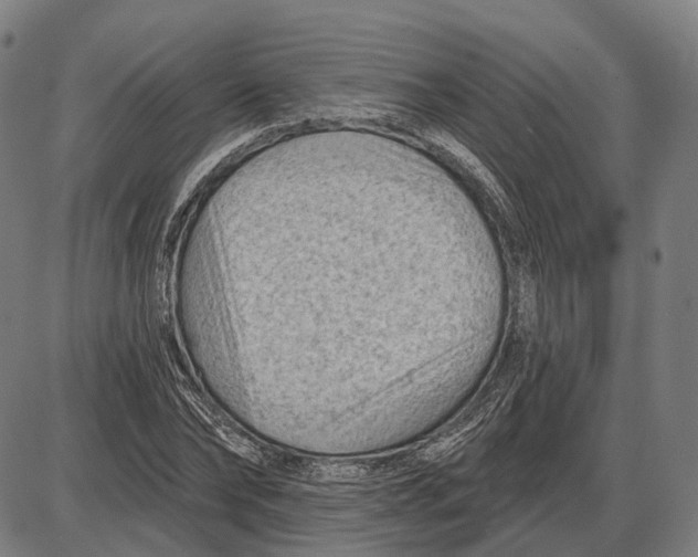 X0000085020878200703261218