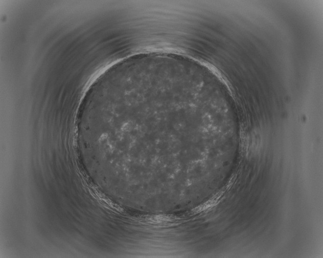 X0000085020879200703261218