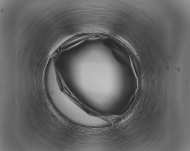 X0000085020885200703261218