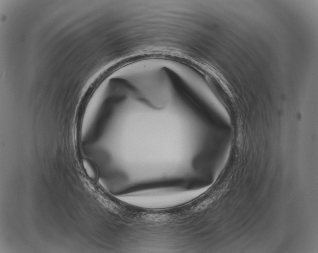 X0000085020888200703261218