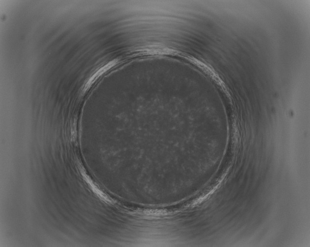 X0000085020889200703261218