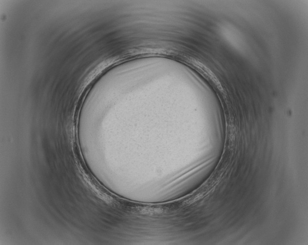 X0000085020890200703261218