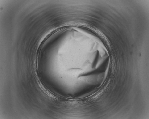 X0000085020896200703261218