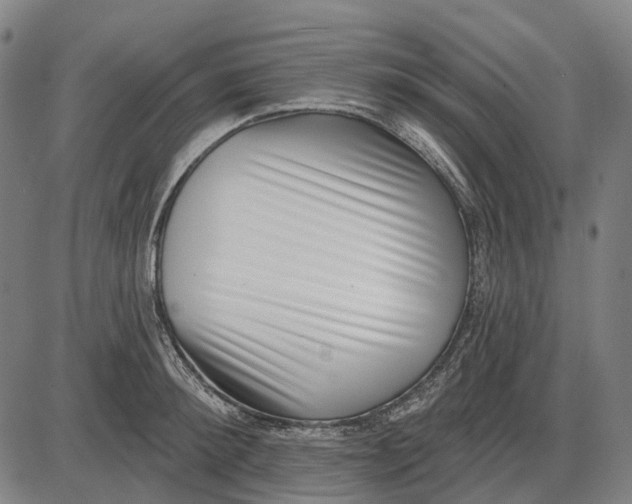 X0000085020900200703261217