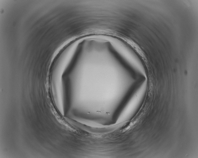 X0000085020904200703261217