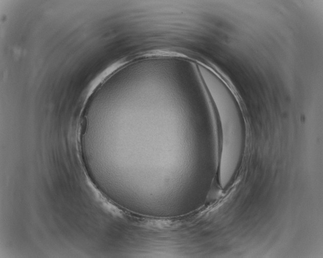 X0000085020909200703261217