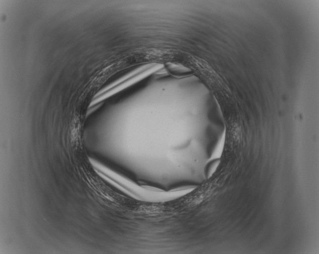 X0000085020914200703261216