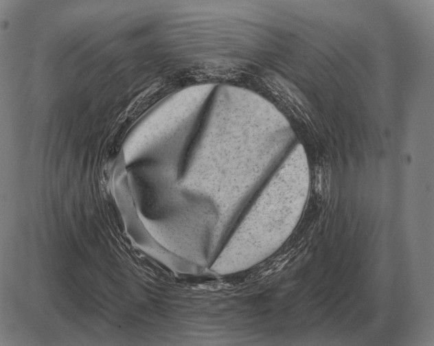 X0000085020915200703261216