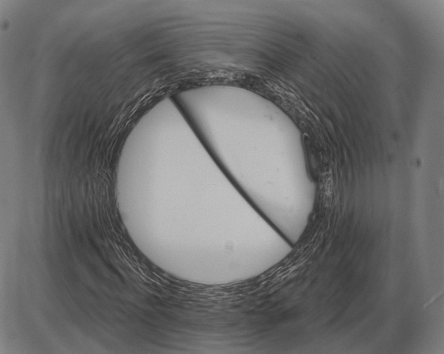 X0000085020916200703261216