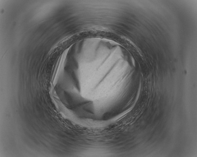 X0000085020919200703261217