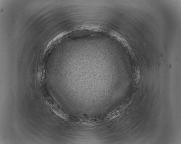 X0000085020920200703261217