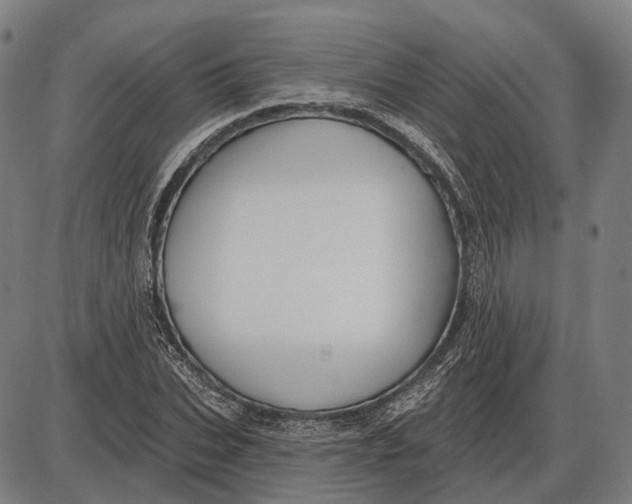 X0000085020927200703261217